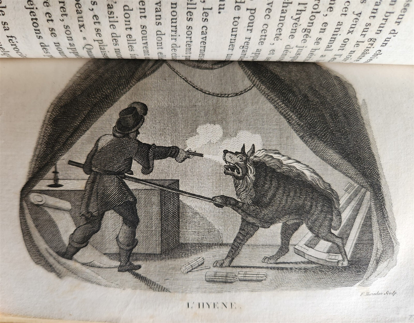 1818 HISTORY of ANIMALS ILLUSTRATED w/ 65 PLATES antique 6 VOLUMES