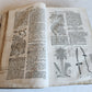 1744 THEATRUM BOTANICUM ILLUSTRATED GERMAN HERBAL antique PIGSKIN BOUND FOLIO