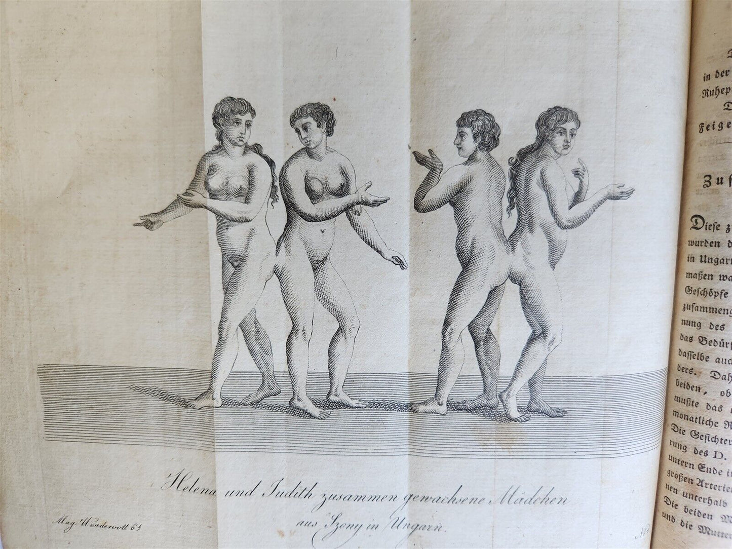 1803-04 EXTRAORDINARY in NATURE ART & HUMAN LIFE 2 VOLUMES antique ILLUSTRATED