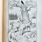 1900s ILLUSTRATED GERMAN CHILDREN BOOK antique FAIRYTALE LAND OF ANIMALS