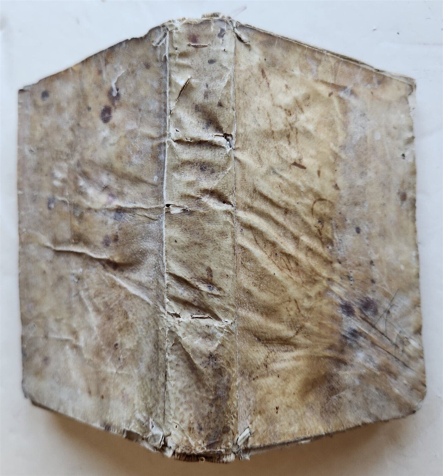 1576 CICERO Rhetoricorum ad Herennium antique 16th CENTURY vellum binding