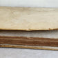 1696 PLANTARUM REGNI VEGETABILIS antique VELLUM VEGETABLE KINGDOM PLANTS