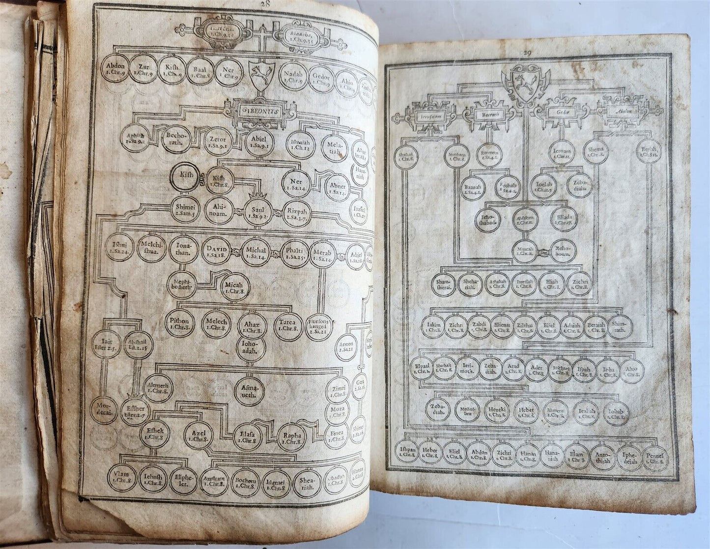 1629 BIBLE in ENGLISH antique ILLUSTRATED Old & New Testament