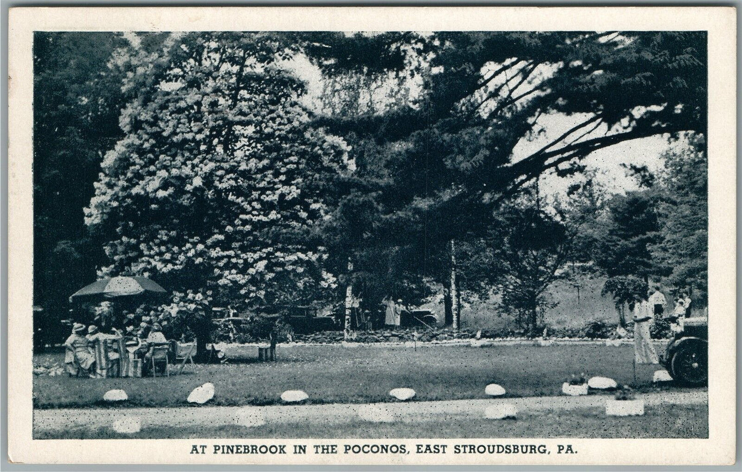 EAST STROUDSBURG PA PINESBOOK in POCONOS ANTIQUE POSTCARD