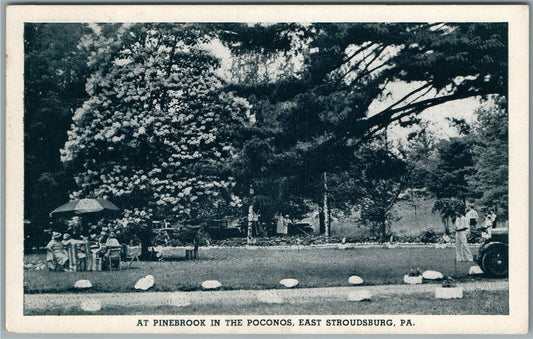 EAST STROUDSBURG PA PINESBOOK in POCONOS ANTIQUE POSTCARD
