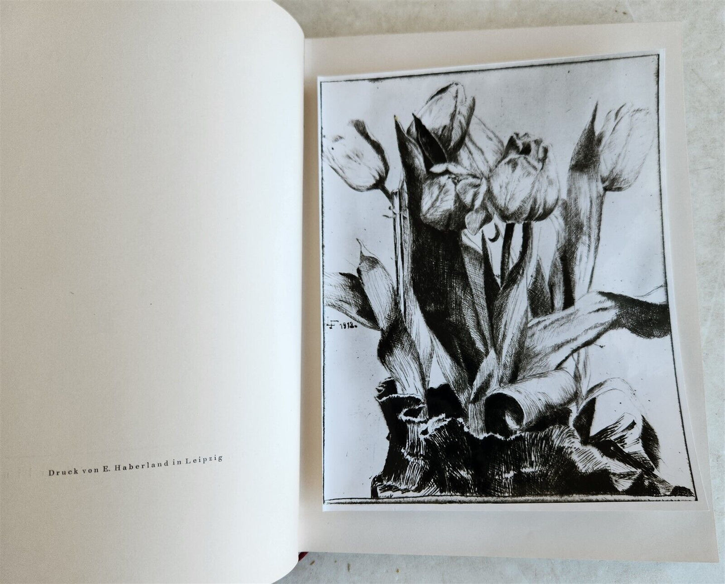 1923 MAX SLEVOGT by EMIL WALDMANN antique ILLUSTRATED ART ALBUM