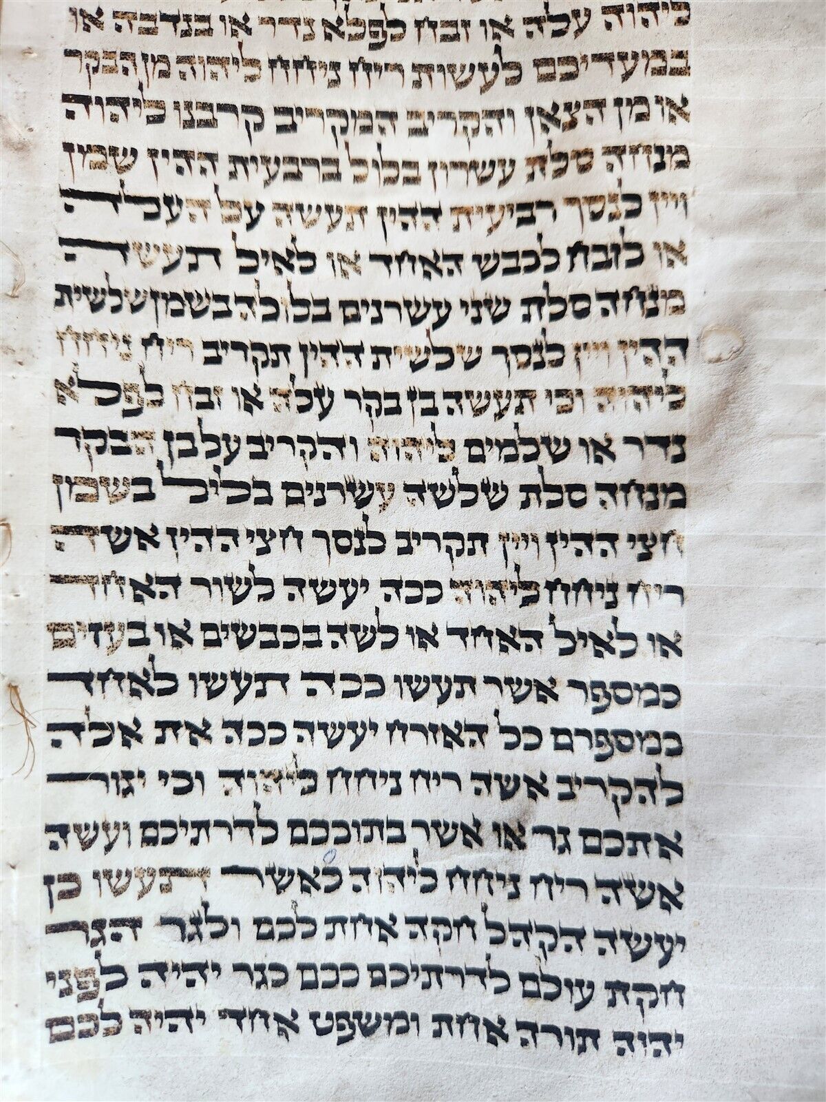 TORAH SCROLL FRAGMENT MANUSCRIPT on VELLUM antique BIBLE NUMBERS 4:39-15:16