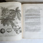 1801 SILVA: DISCOURSE OF FOREST TREES 2 VOLUMES ILLUSTRATED antique in ENGLISH