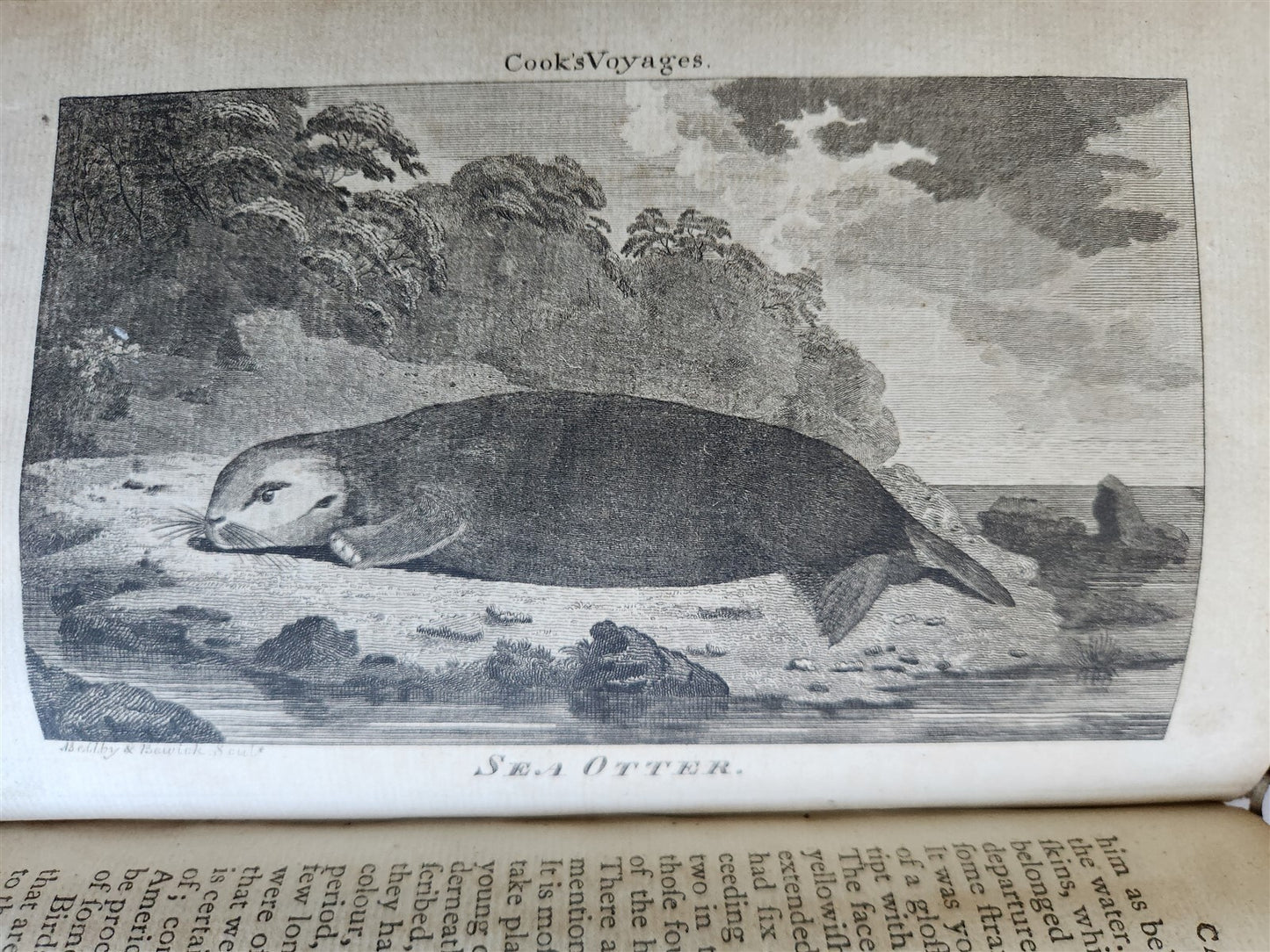 1790 CAPTAIN COOK'S VOYAGES ROUND THE WORLD 3 VOLS ILLUSTRATED antique ENGLISH