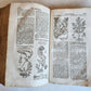 1744 THEATRUM BOTANICUM ILLUSTRATED GERMAN HERBAL antique PIGSKIN BOUND FOLIO