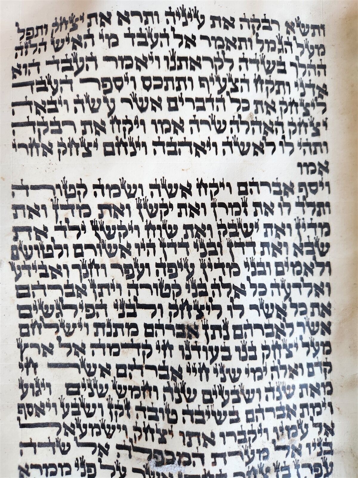 TORAH SCROLL FRAGMENT MANUSCRIPT on VELLUM antique BIBLE GENESIS 24:64 - 31:1