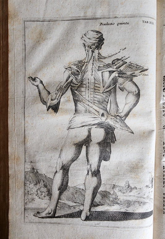 1704 ANATOMY MUSCLE TREATISE antique AMAZINGLY ILLUSTRATED