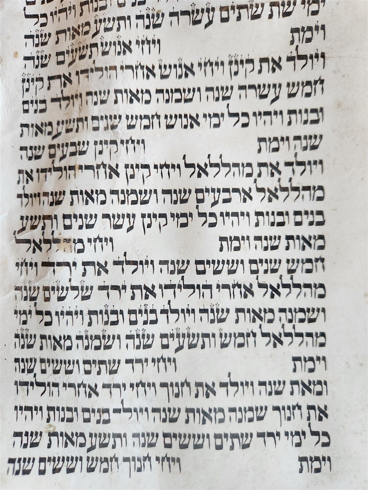 TORAH SCROLL FRAGMENT MANUSCRIPT on VELLUM antique BIBLE GENESIS first chapters