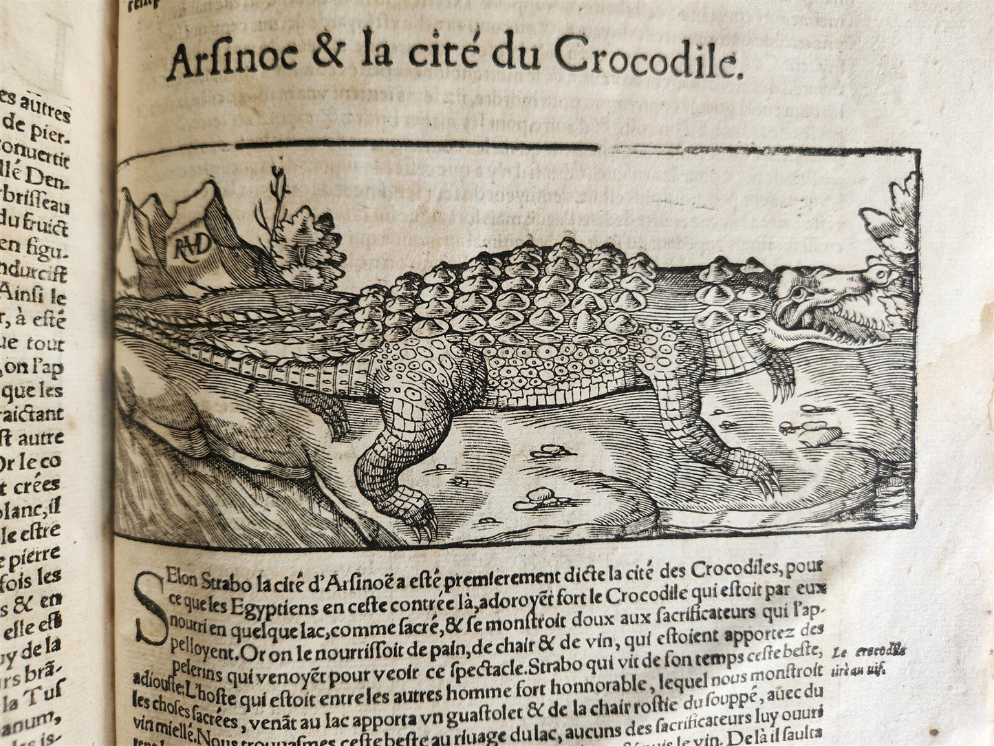 1556 COSMOGRAPHY by Sebastian Munster antique RARE ILLUSTRATED 16th cent. FOLIO