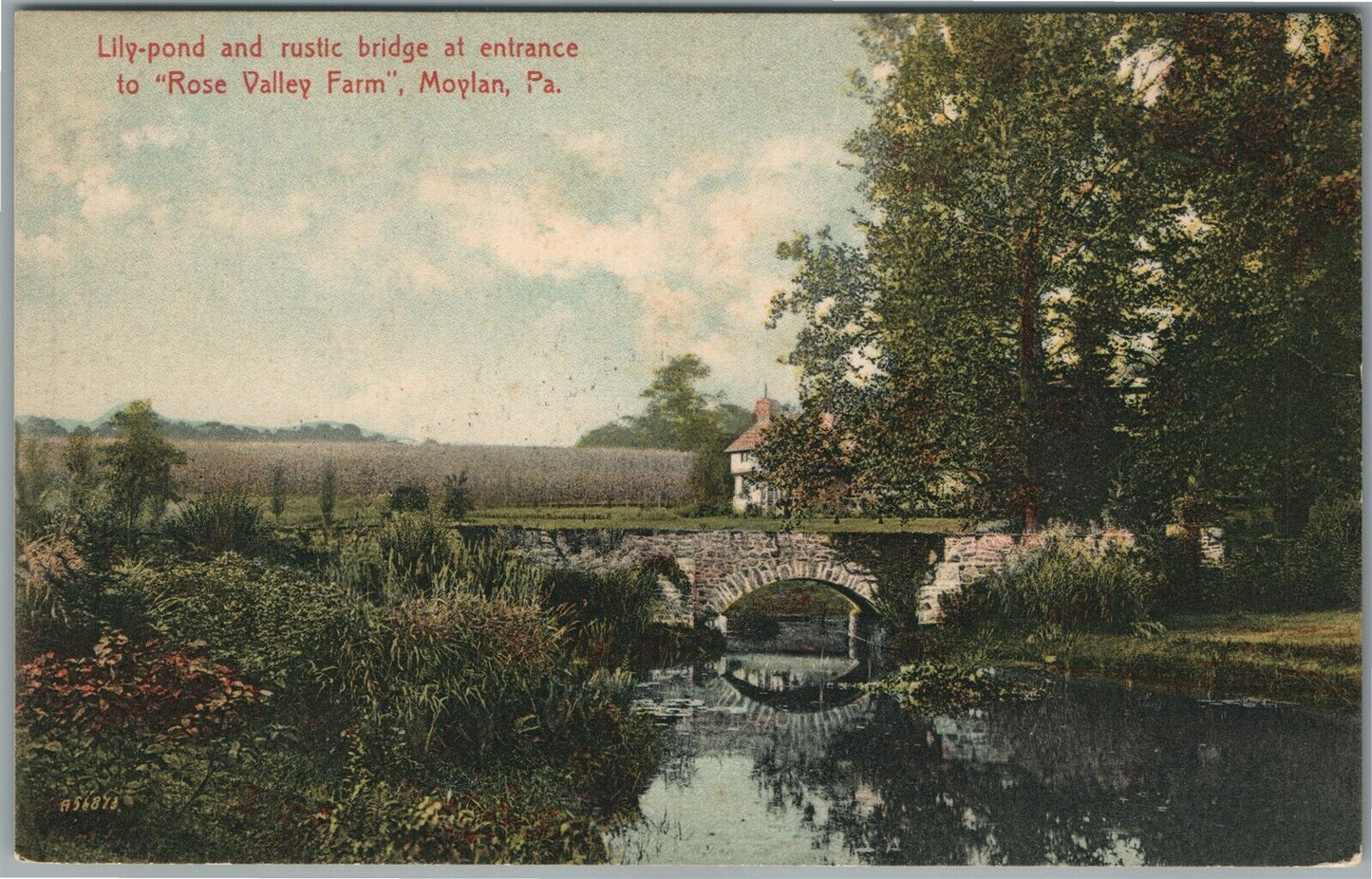 MOYLAN PA ROSE VALLEY LILY POND & RUSTIC BRIDGE ANTIQUE POSTCARD