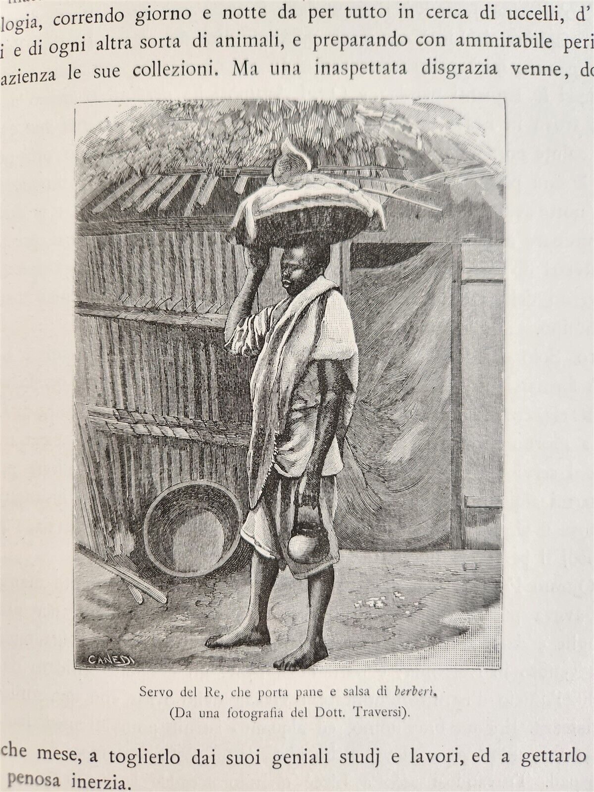 1885 TRAVELS in ETHIOPIA AFRICA in ITALIAN 6 FOLIO VOLUMES antique ILLUSTRATED