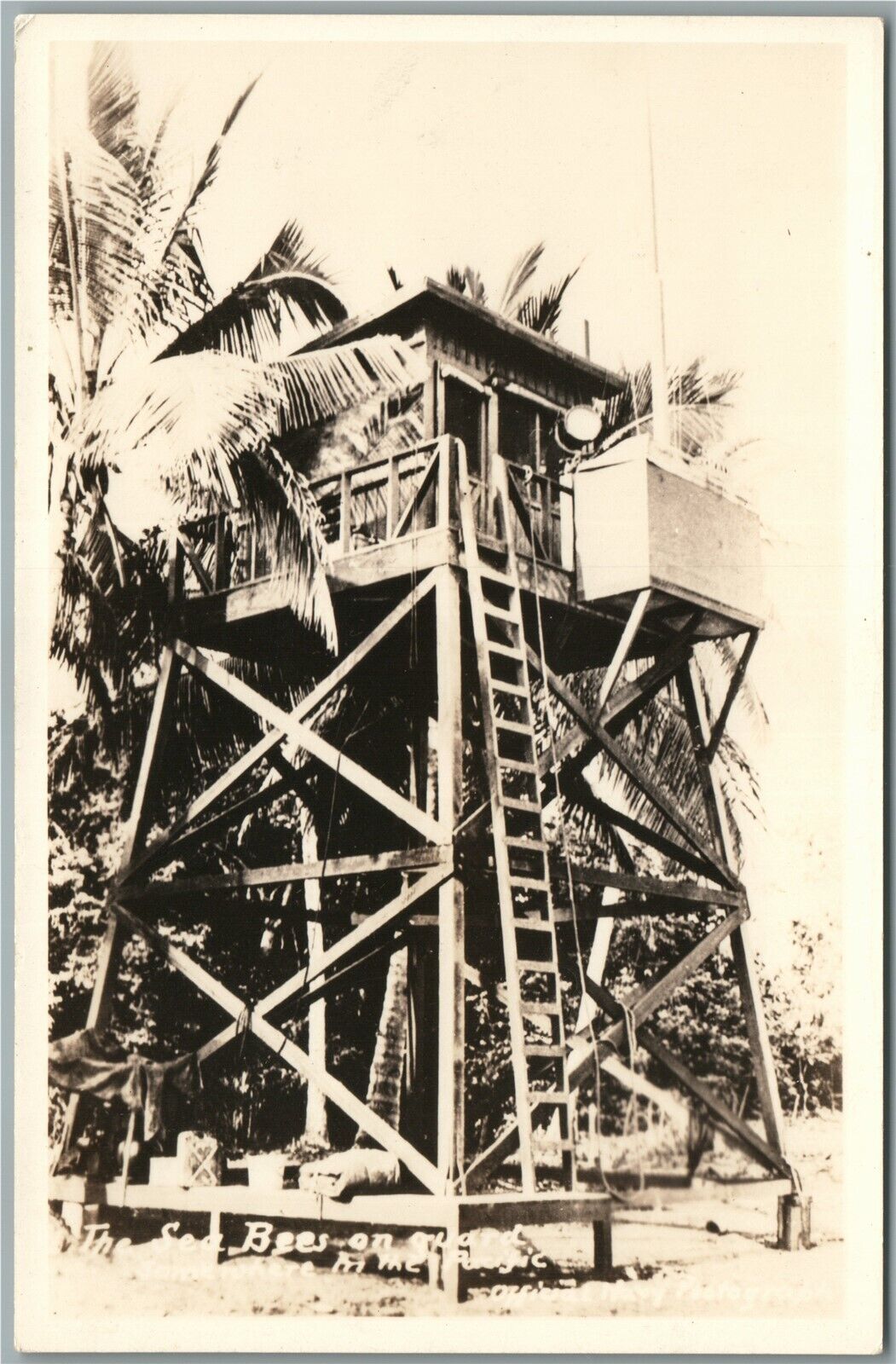 SEA BEES ON GUARD ANTIQUE REAL PHOTO POSTCARD RPPC