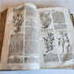 1744 THEATRUM BOTANICUM ILLUSTRATED GERMAN HERBAL antique PIGSKIN BOUND FOLIO
