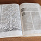 1556 LAW BOOK Corpus Juris Civilis PANDECTARUM antique MASSIVE FOLIO vellum