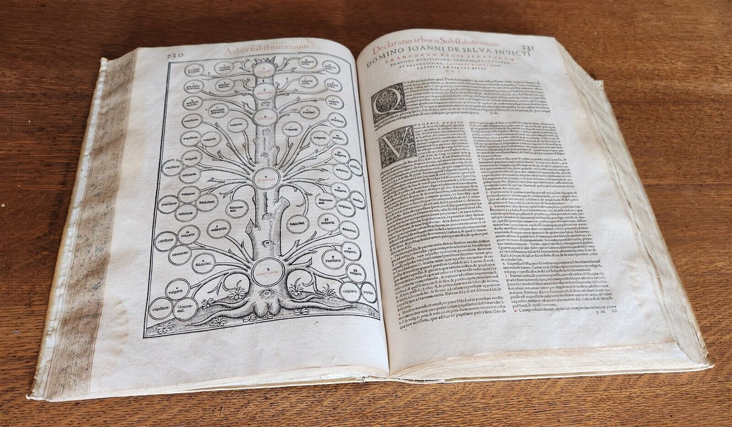 1556 LAW BOOK Corpus Juris Civilis PANDECTARUM antique MASSIVE FOLIO vellum