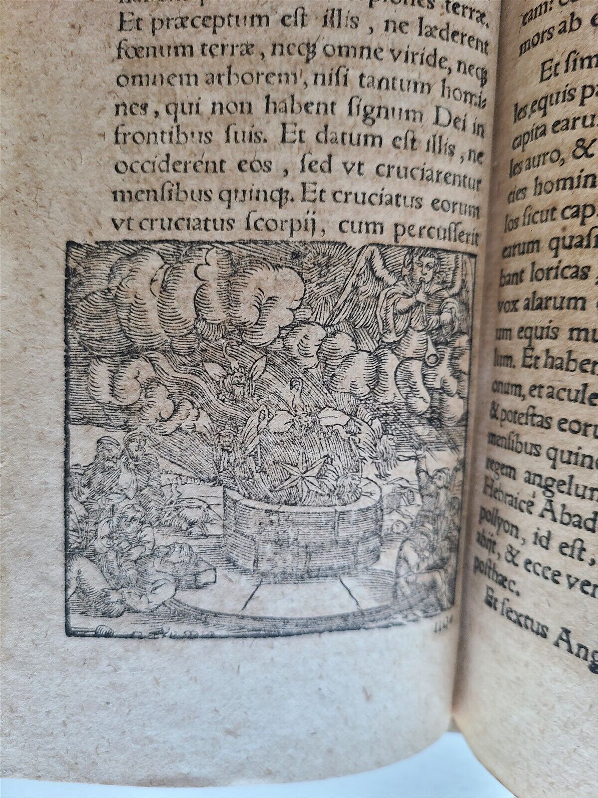 1575 APOCALYPSE COMMENTARY by D. Chytraeus ILLUSTRATED antique pigskin BINDING