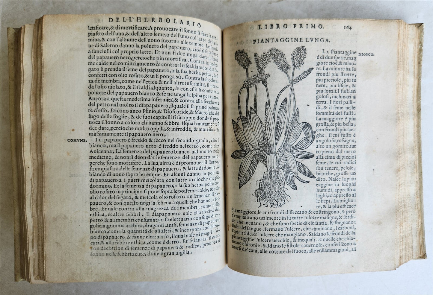 1561 PHARMACOPEIA ILLUSTRATED MEDICAL PLANTS by SANSOVINO antique 16th CENTURY