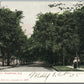 CHAMPAIGN IL GREEN STREET ANTIQUE POSTCARD