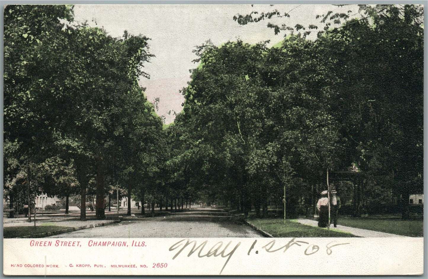 CHAMPAIGN IL GREEN STREET ANTIQUE POSTCARD