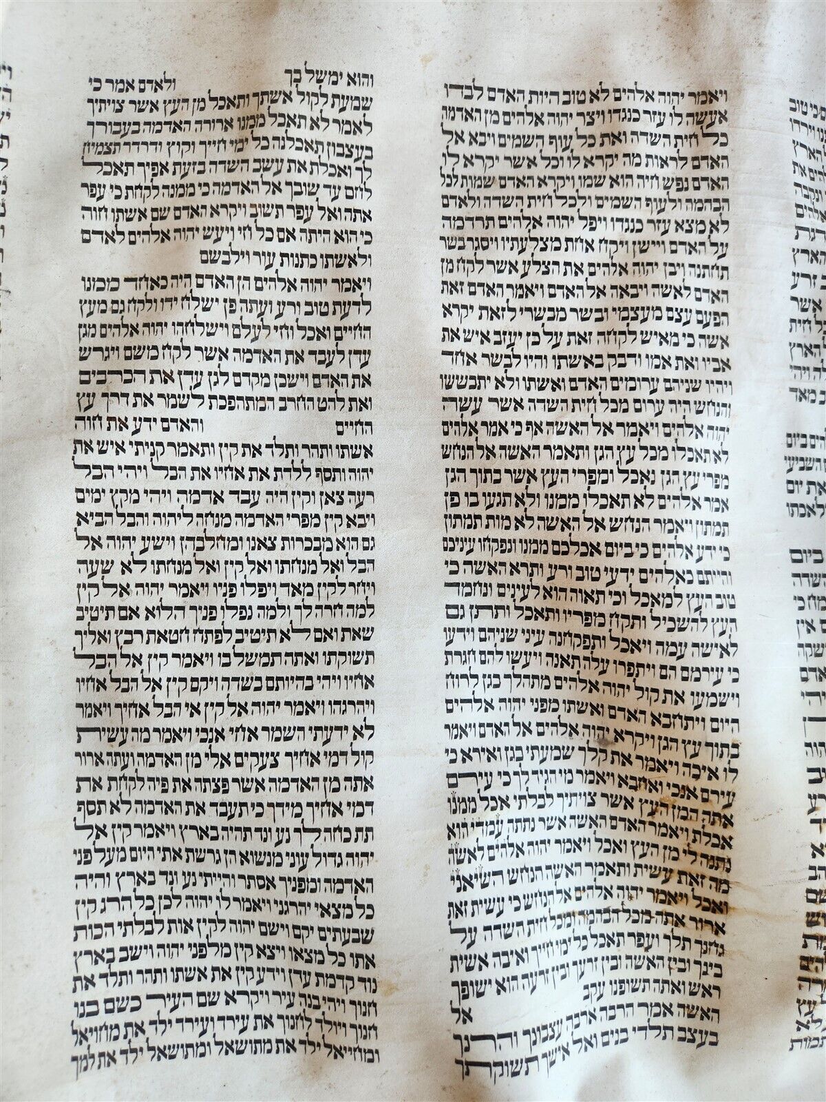 TORAH SCROLL FRAGMENT MANUSCRIPT on VELLUM antique BIBLE GENESIS first chapters