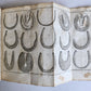 1792 HORSE ANATOMY VETERINARY TREATISE ILLUSTRATED w/ 9 WOODCUTS antique