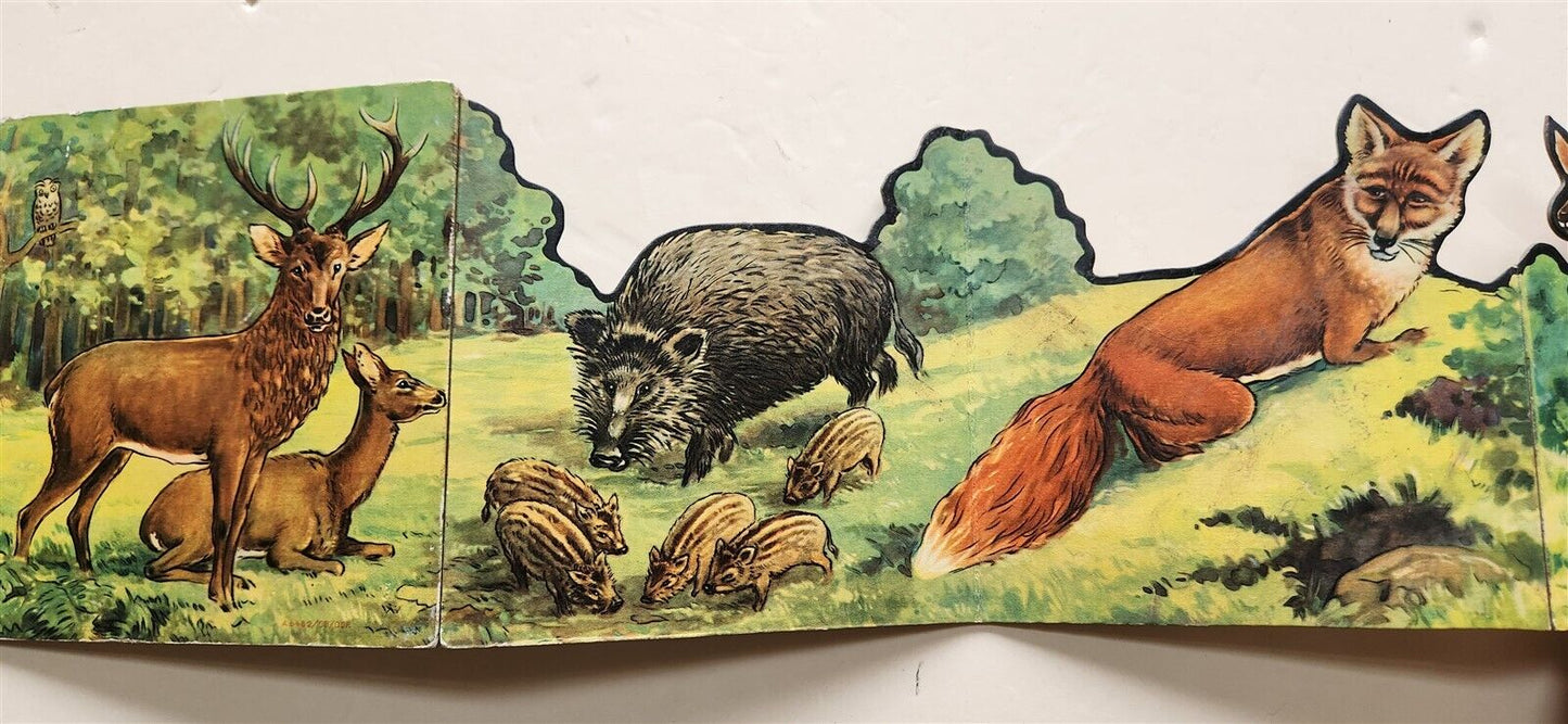1950s antique ILLUSTRATED CHILDREN BOOK tiere der heimat ANIMALS of the HOMELAND