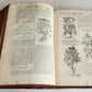 1710 BOTANOLOGIA ENGLISH HERBAL antique ILLUSTRATED MASSIVE FOLIO