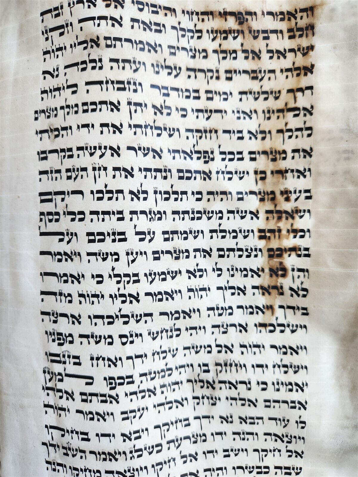 TORAH SCROLL FRAGMENT MANUSCRIPT on VELLUM antique BIBLE EXODUS 2:1 - 6:7