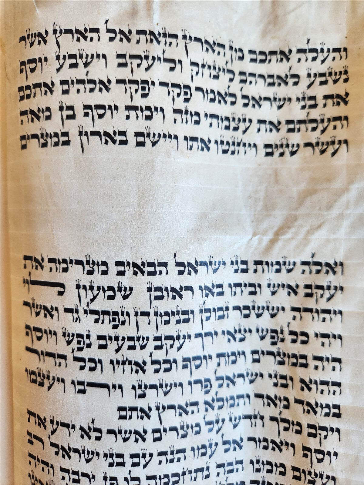 TORAH SCROLL FRAGMENT MANUSCRIPT on VELLUM antique BIBLE DEUTERONOMY 11:4-13:12