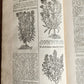1710 BOTANOLOGIA ENGLISH HERBAL antique ILLUSTRATED MASSIVE FOLIO