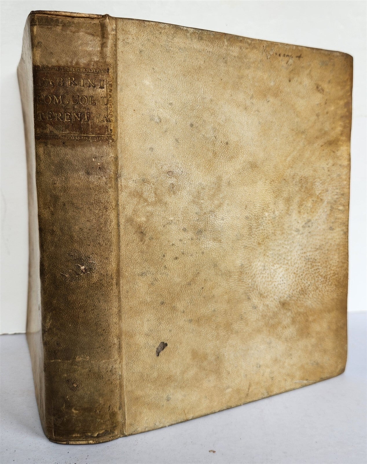 1558 TERENCE in ITALIAN antique 16th CENTURY vellum
