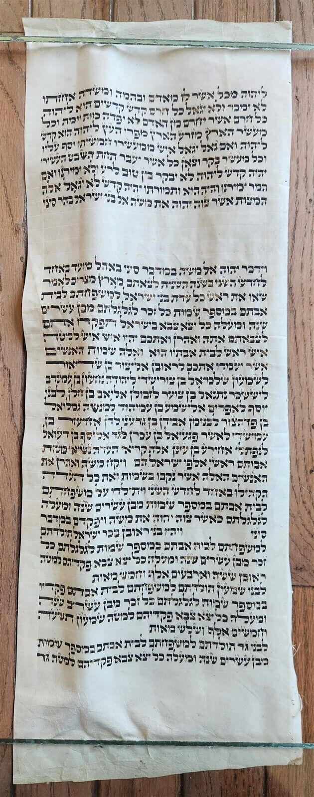 TORAH SCROLL FRAGMENT MANUSCRIPT on VELLUM antique BIBLE LEVITICUS 27:28