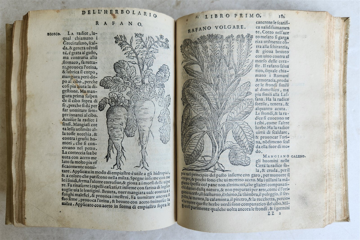 1561 PHARMACOPEIA ILLUSTRATED MEDICAL PLANTS by SANSOVINO antique 16th CENTURY