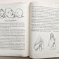 1951 CHILDREN BOOK in GERMAN vintage ILLUSTRATED THIENEMANNS SCHATZASTLEIN