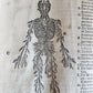1601 WOUND MEDICINE antique ILLUSTRATED WundArtzney oder Artzney spiegell FOLIO