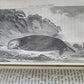 1785-86 VOYAGE of CAPTAIN JAMES COOK 3 volumes ILLUSTRATED antique in ENGLISH