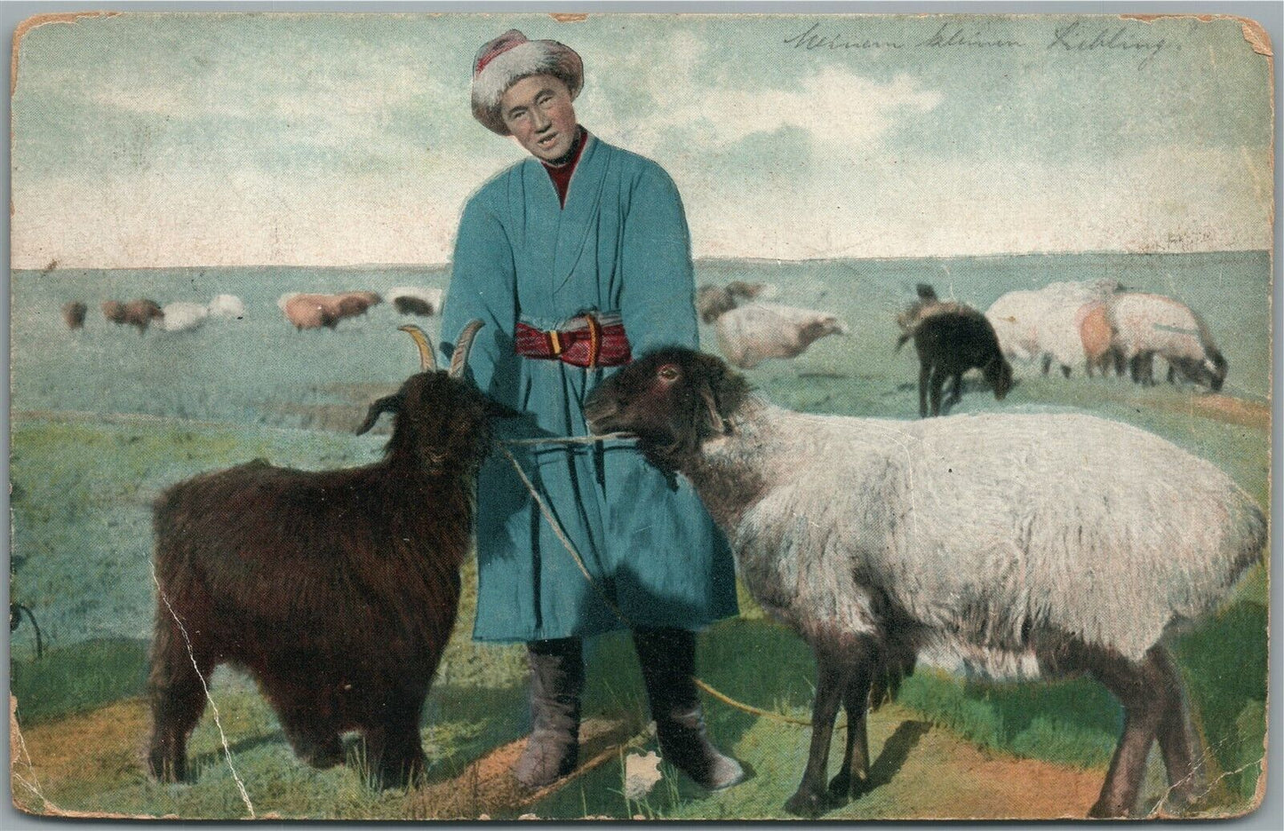 RUSSIAN CENTRAL ASIA SHEEP SHEPHERD ANTIQUE POSTCARD