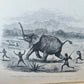 1868 NILE TRIBUTARIES OF ABYSSINIA SWORD HUNTERS of HAMRAN ARABS ILLUSTR antique