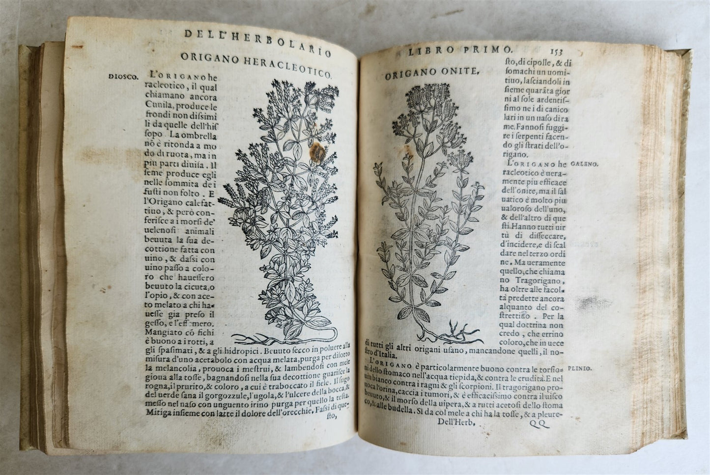 1561 PHARMACOPEIA ILLUSTRATED MEDICAL PLANTS by SANSOVINO antique 16th CENTURY