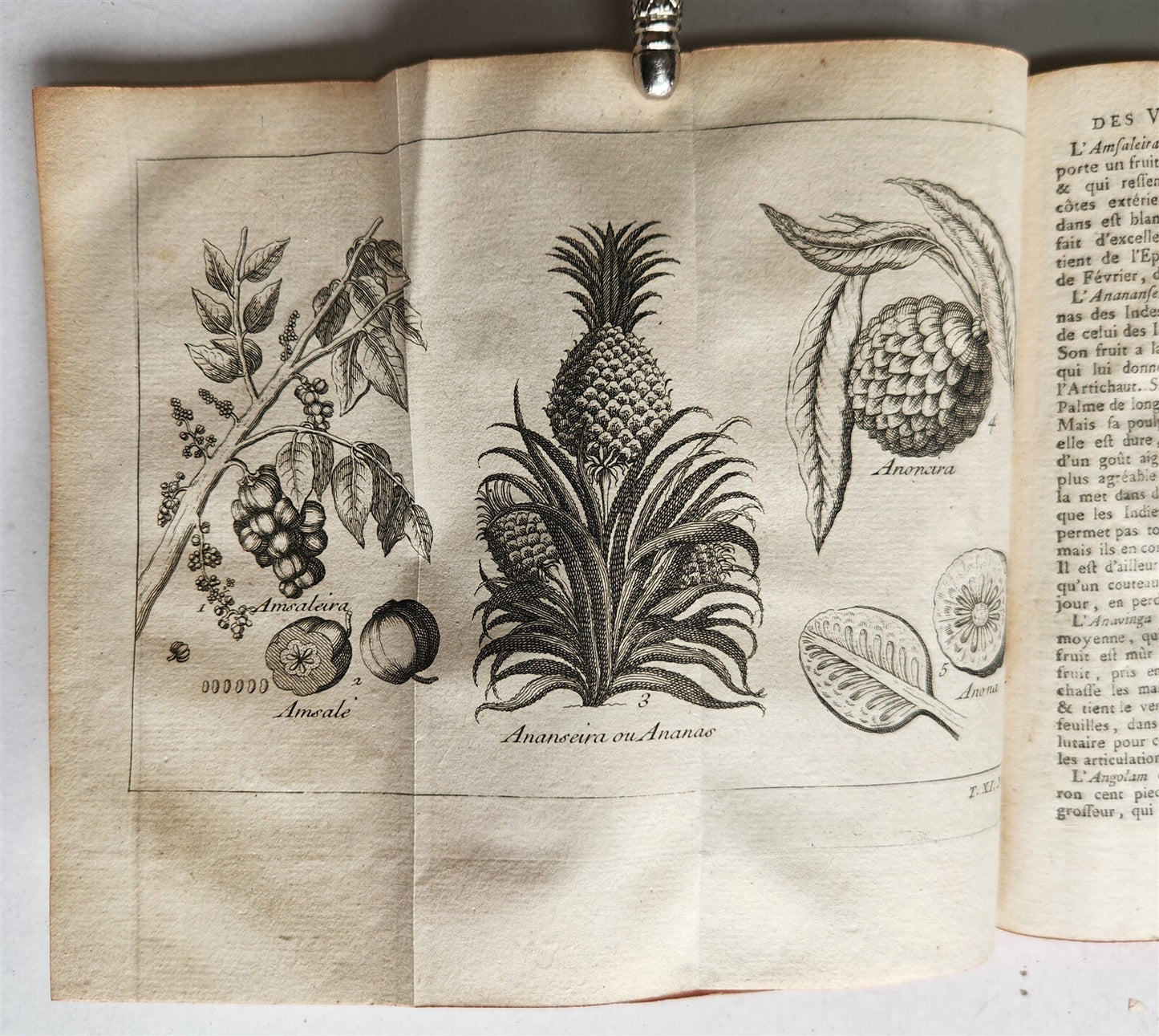 1753 HISTOIRE des VOYAGES antique Vol.44 EAST INDIES TRAVELS illustrated