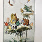 1951 CHILDREN BOOK in GERMAN vintage ILLUSTRATED THIENEMANNS SCHATZASTLEIN
