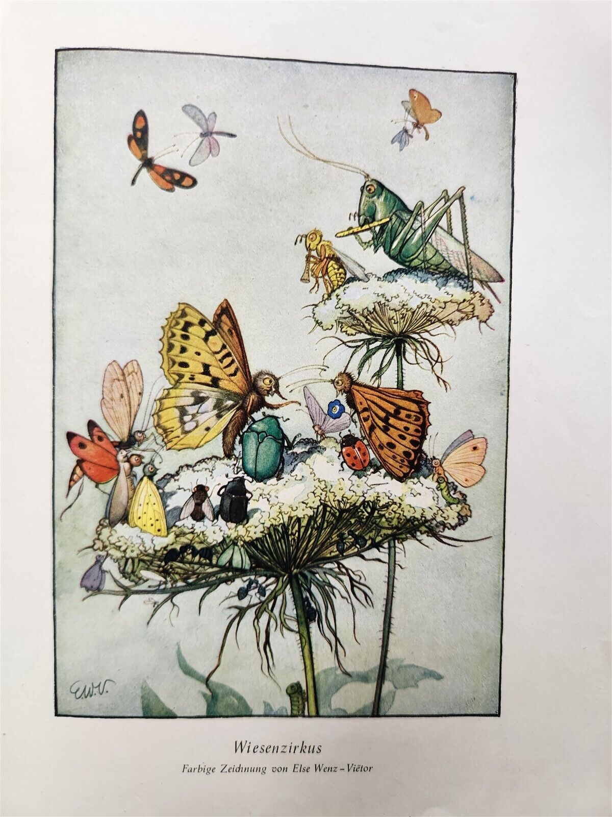 1951 CHILDREN BOOK in GERMAN vintage ILLUSTRATED THIENEMANNS SCHATZASTLEIN