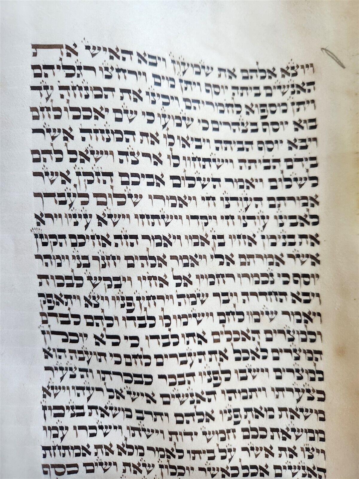 TORAH SCROLL FRAGMENT MANUSCRIPT on VELLUM antique BIBLE GENESIS 43:23 - 48:7