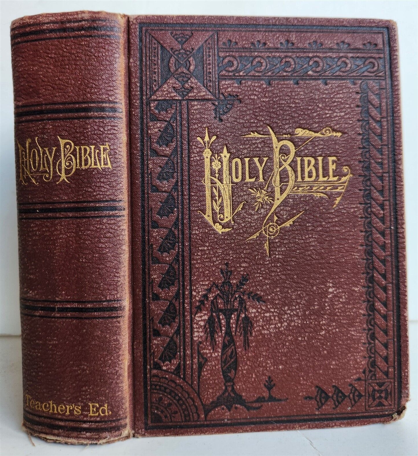 1880s BIBLE in ENGLISH antique AMERICANA Chicago ILLUSTRATED