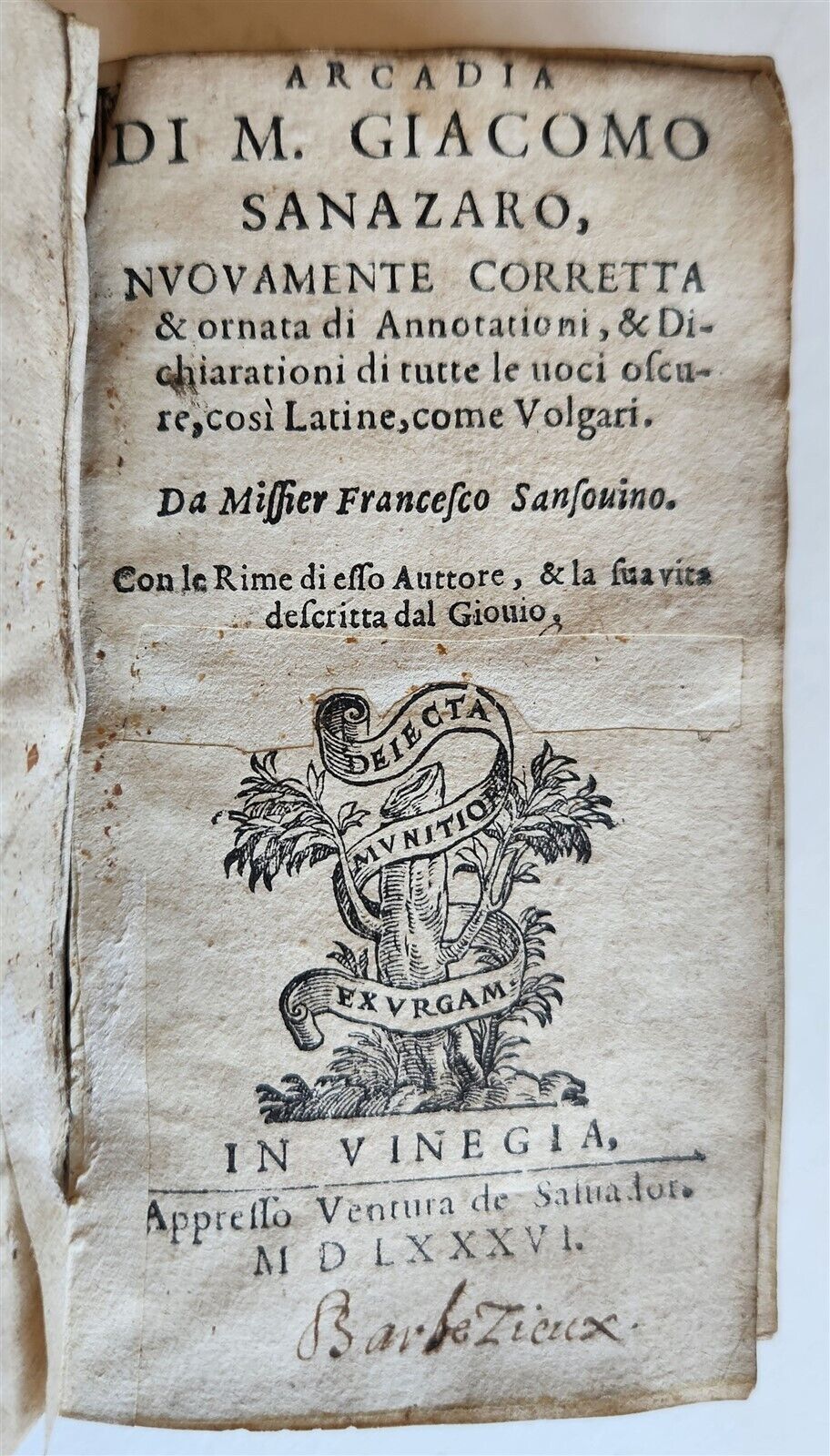1586 IMPORTANT ITALIAN RENAISSANCE WORKS antique VELLUM Bembo Sansoiuno Ariosto